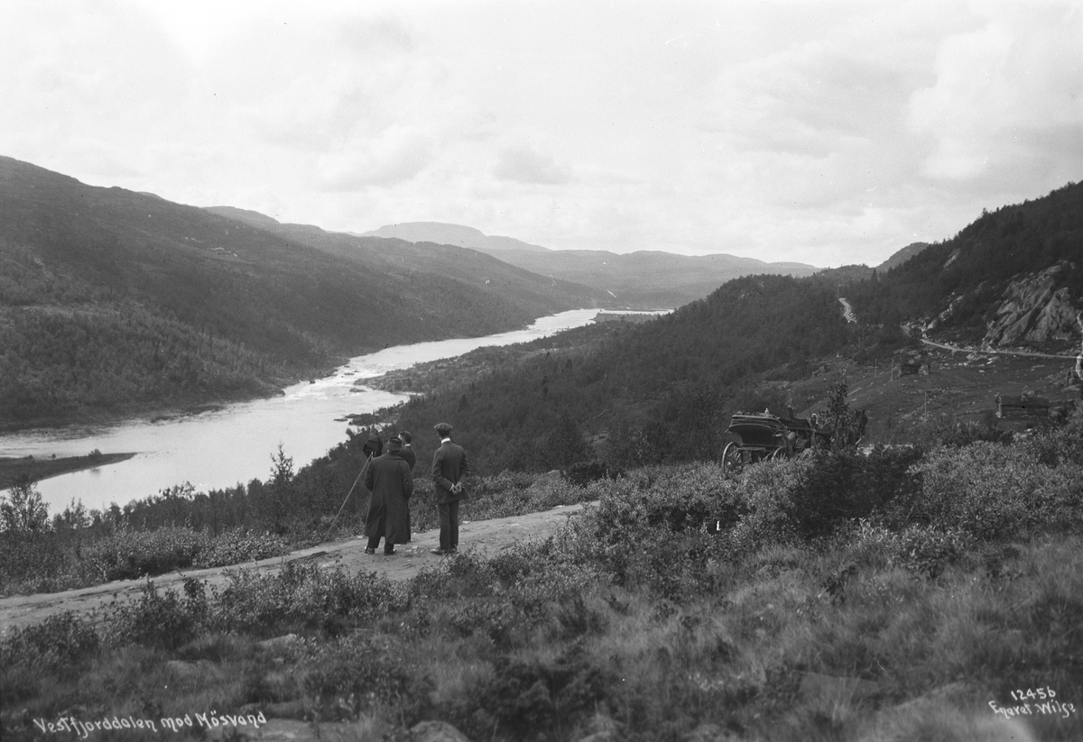 Anders Beer Wilse, Prot: Vestfjorddalen mot Møsvann
