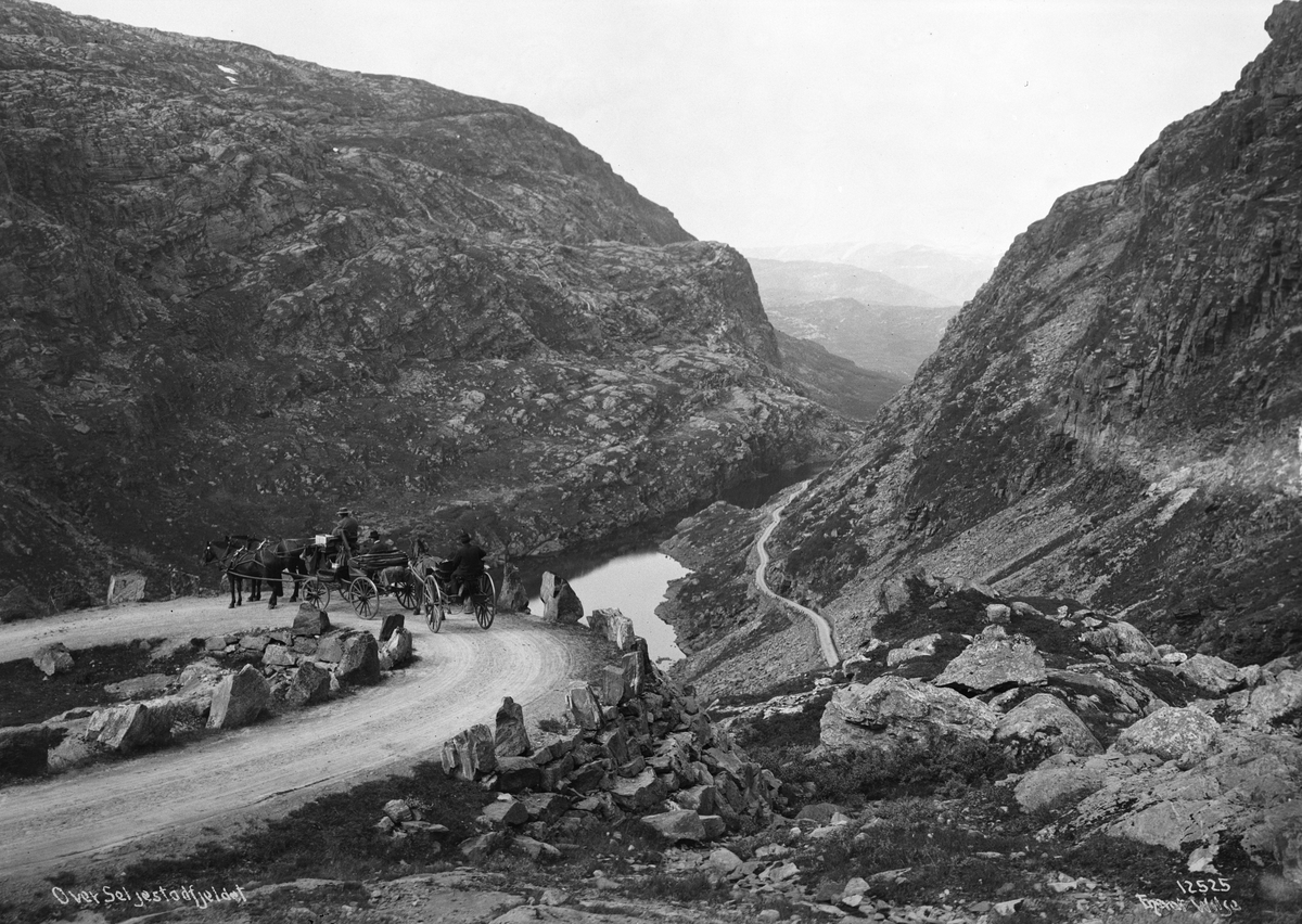 Anders Beer Wilse, Prot: Veien over Seljestadfjellet