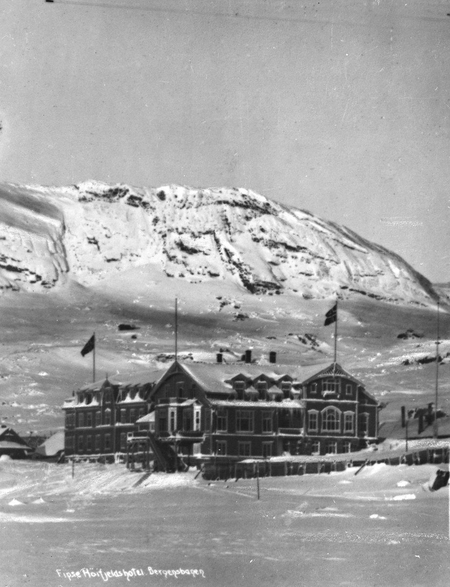 Anders Beer Wilse, Prot: Finse Hotel med Store Finsenut