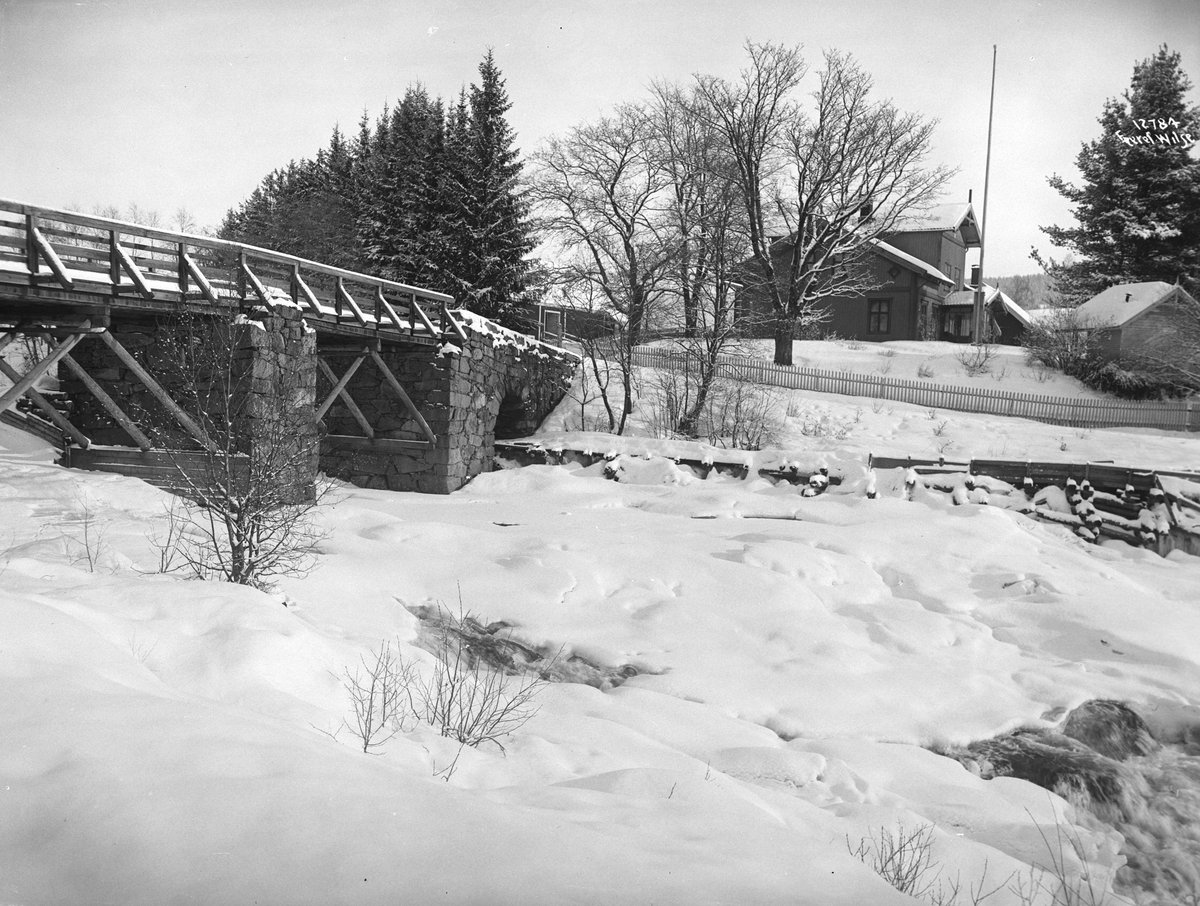 Anders Beer Wilse, Prot: Langs Elven Nittedal 21/2