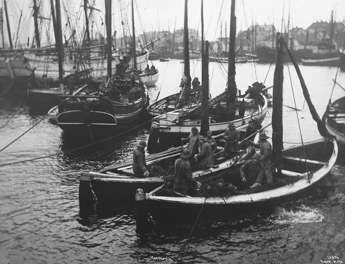 Anders Beer Wilse, Prot: Koppervik Havn 24/2-3/3