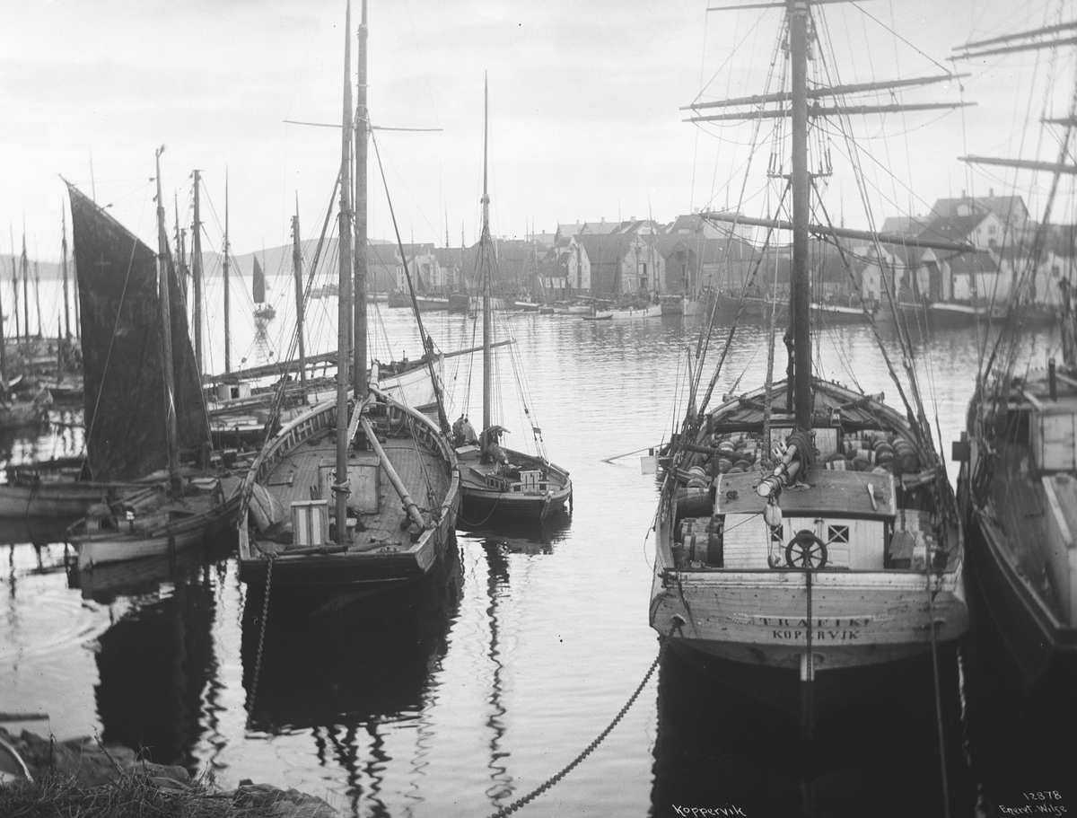 Anders Beer Wilse, Prot: Koppervik Havn 24/2-3/3