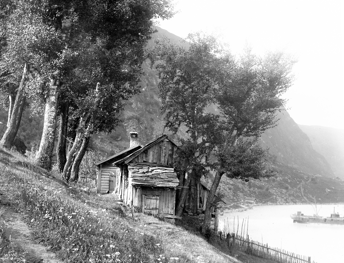 Anders Beer Wilse, Prot: Lysterfjorden ved Skjolden