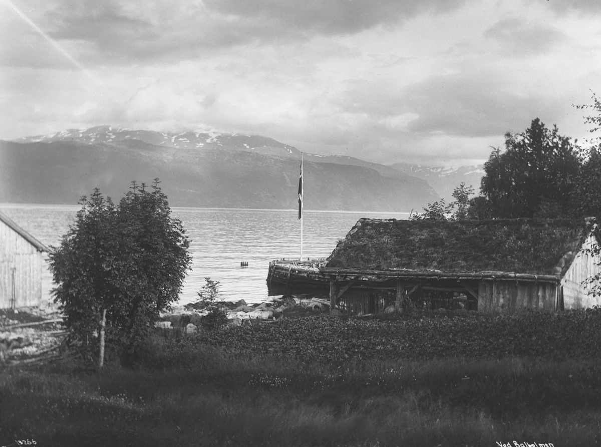 Anders Beer Wilse, Prot: Balholmen Fjordparti ved Hans Dahl