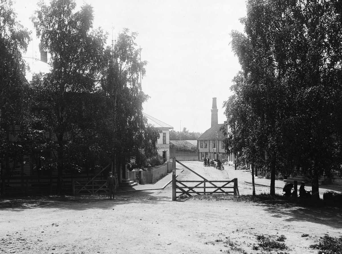Anders Beer Wilse, Prot: Sandviken Station