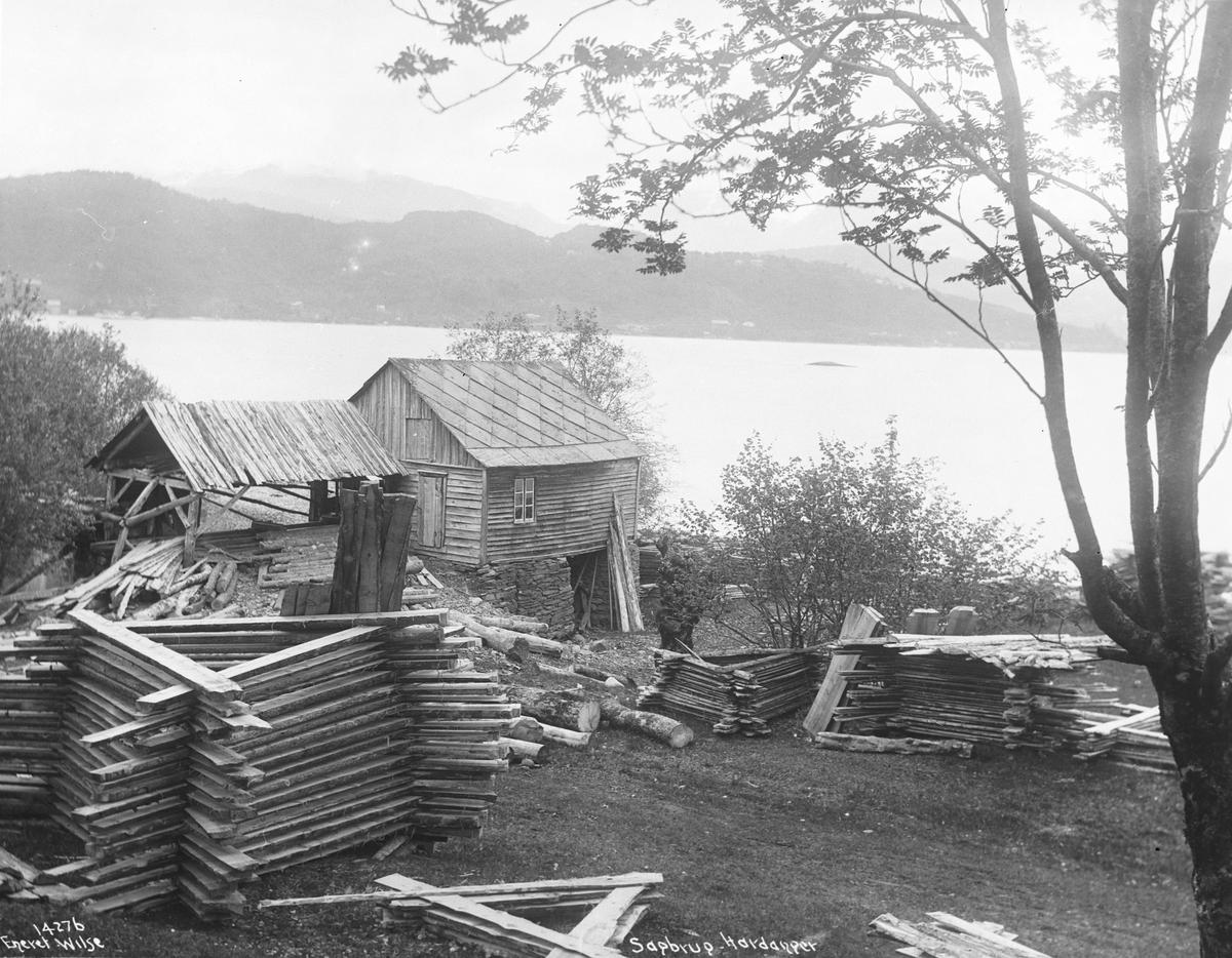Anders Beer Wilse, Prot: Sagmølle Neg: Hardanger - Sagmølle.