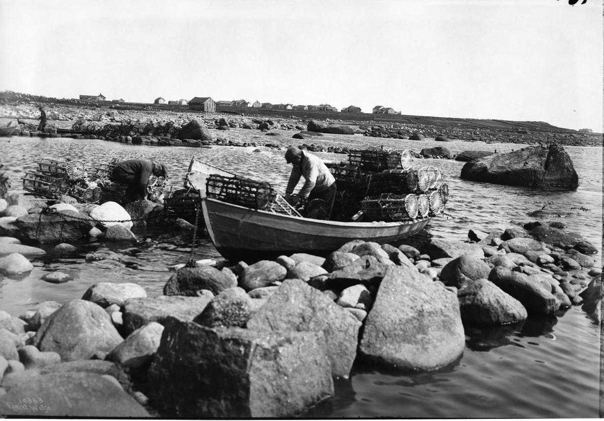 Anders Beer Wilse, Prot: Lister - Hummertegner