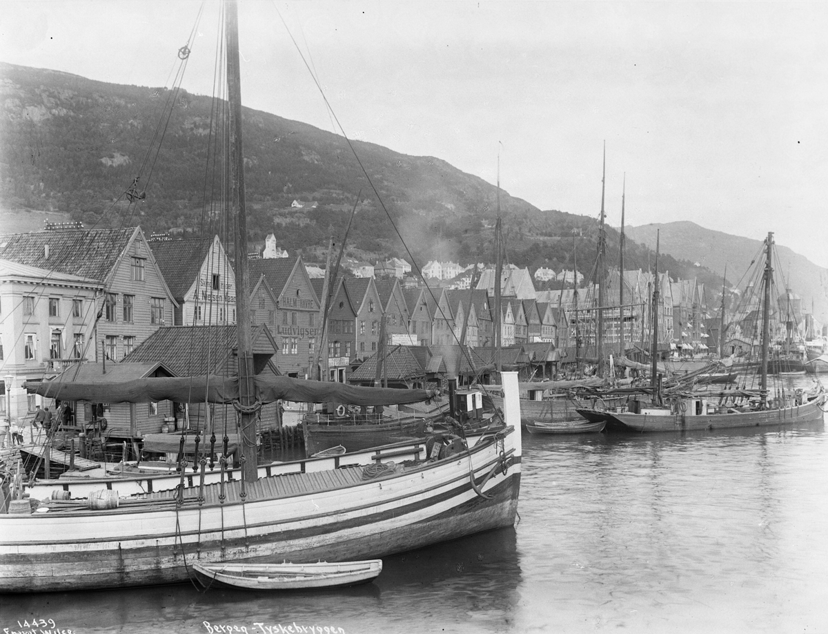 Anders Beer Wilse, Prot: Bergen Tyskebryggene