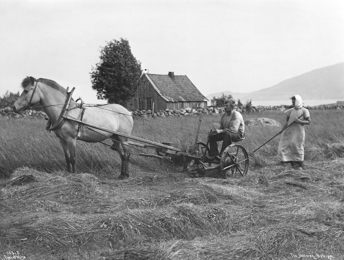 Anders Beer Wilse, Prot: Græset slaaes 8. - 12. Juli Neg: Fra Jæderen - Nybygge