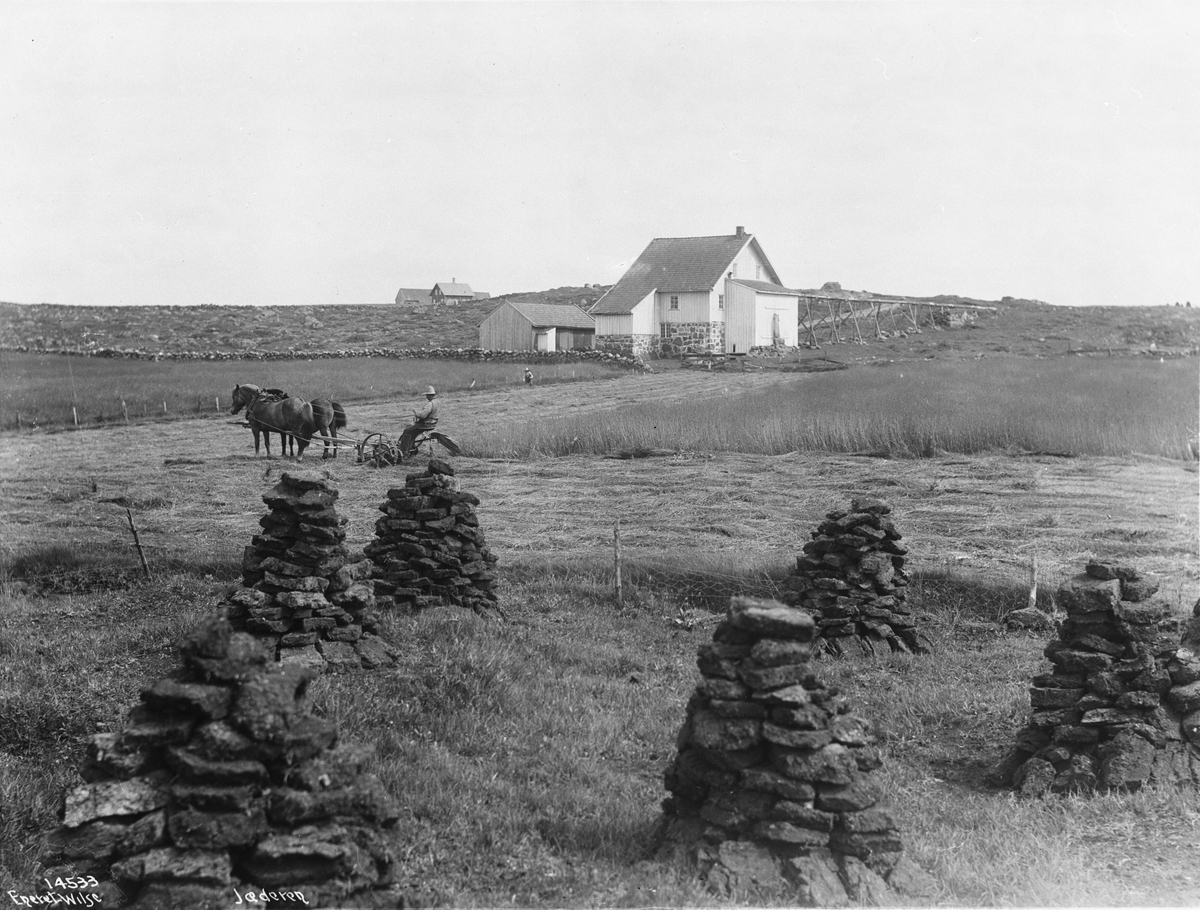 Anders Beer Wilse, Prot: Torv Ager og udyrked Land Neg: Jæderen