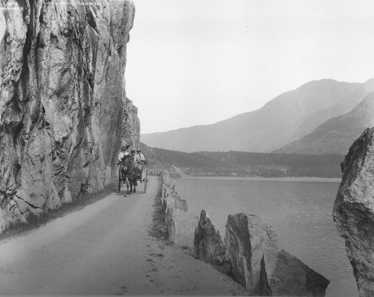 Anders Beer Wilse, Prot: Vik Vei langs Eidsfjordvand