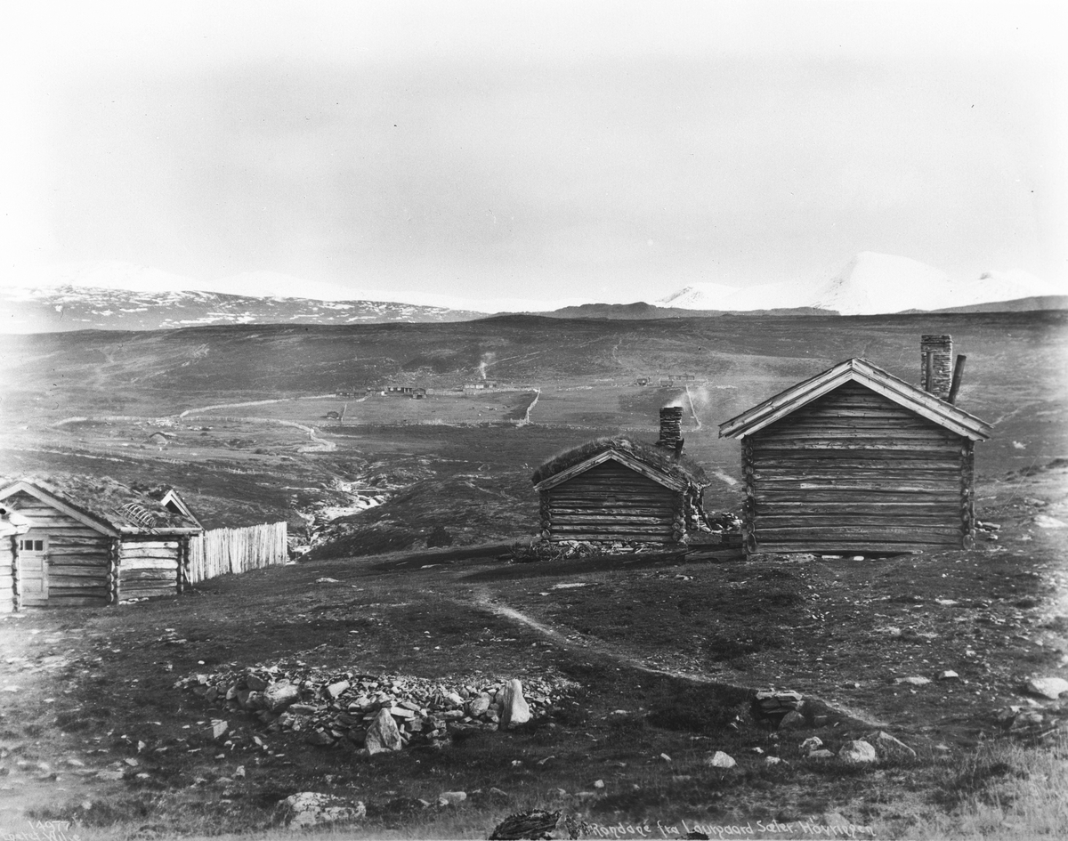 Anders Beer Wilse, Prot: Høvringen Rondane Sept