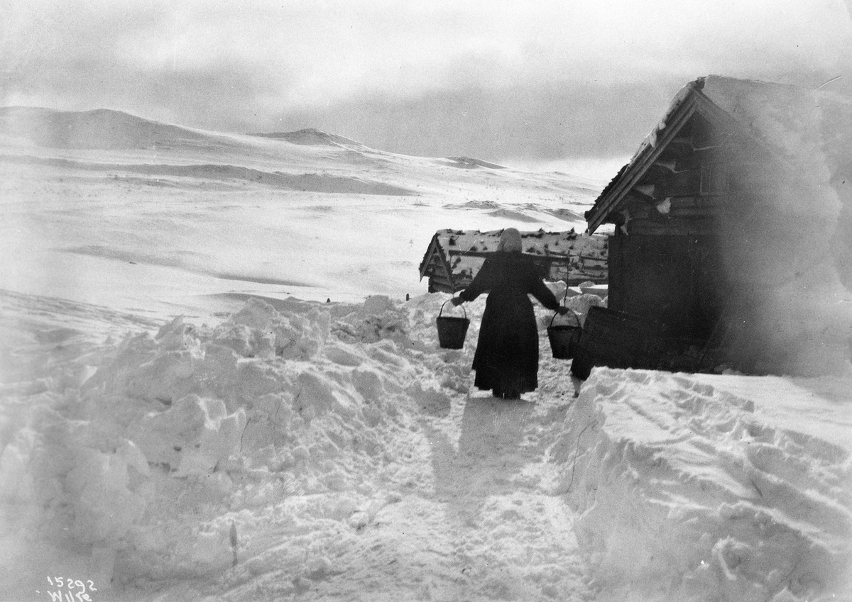Anders Beer Wilse, Prot: Rondane - Ulsvoldsæter, Budeien