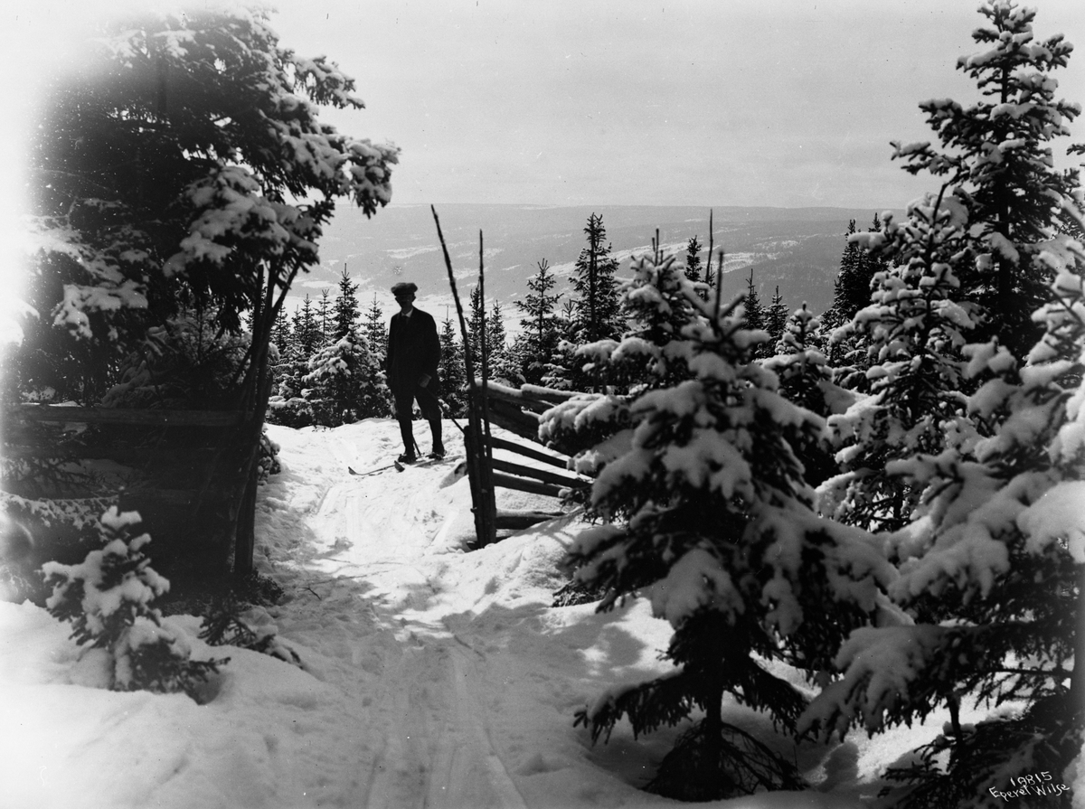 Anders Beer Wilse, Prot: Gjennem smaaskog - Heia Lillehammer
