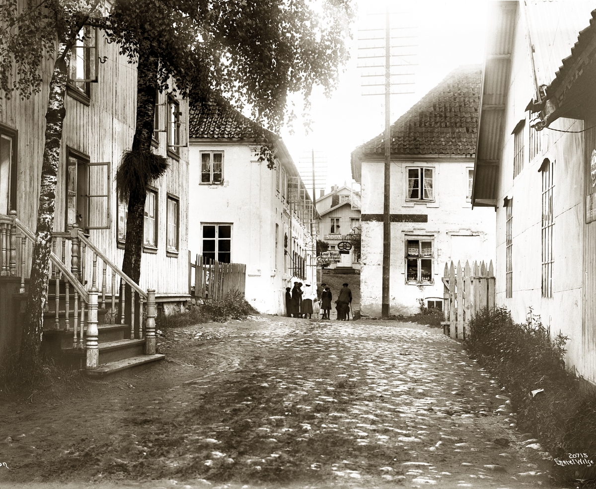 Anders Beer Wilse, Prot: Soon Gaadepark