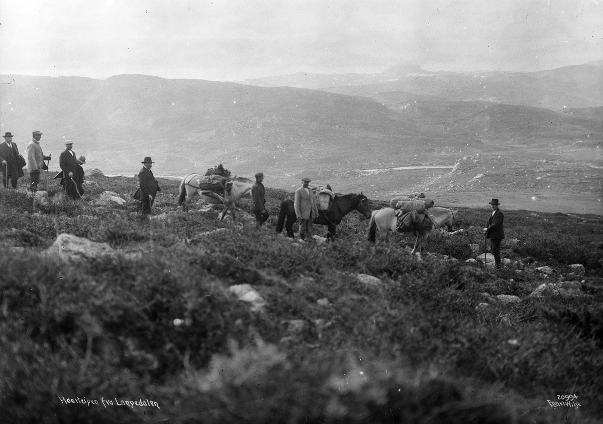Anders Beer Wilse, Prot: Haarteigen fra Langedalen