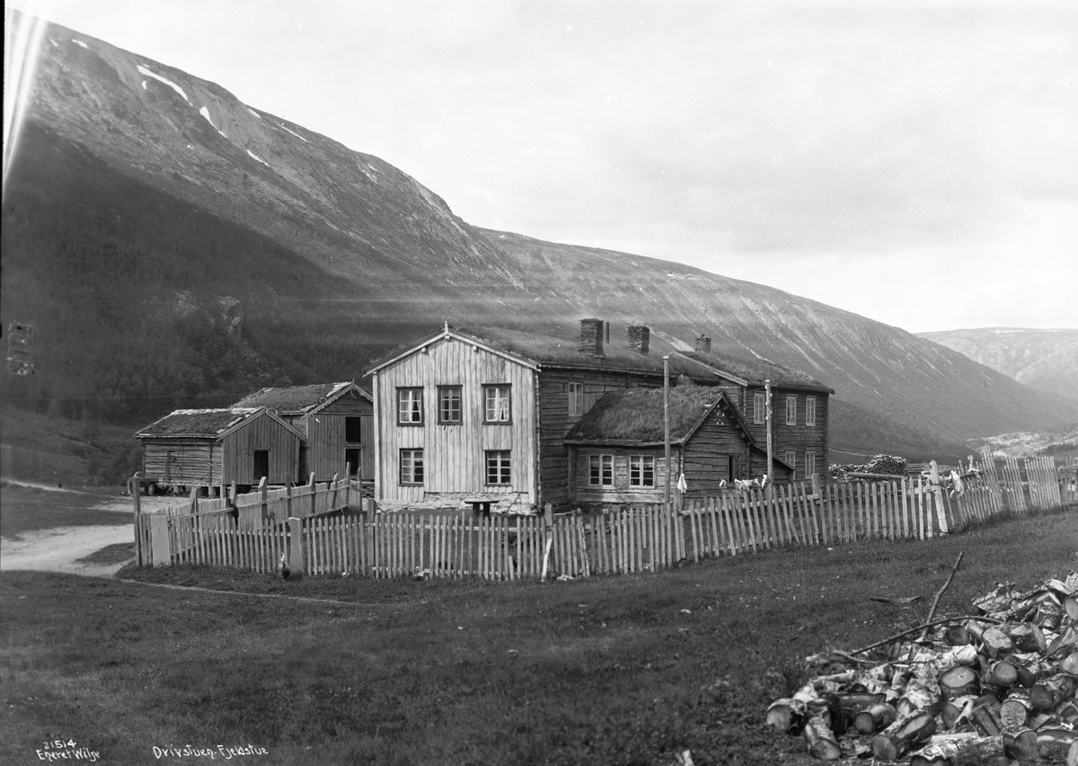 Anders Beer Wilse, Prot: Dovrebanen - Drivstuen, Stasjon og fjeldstue