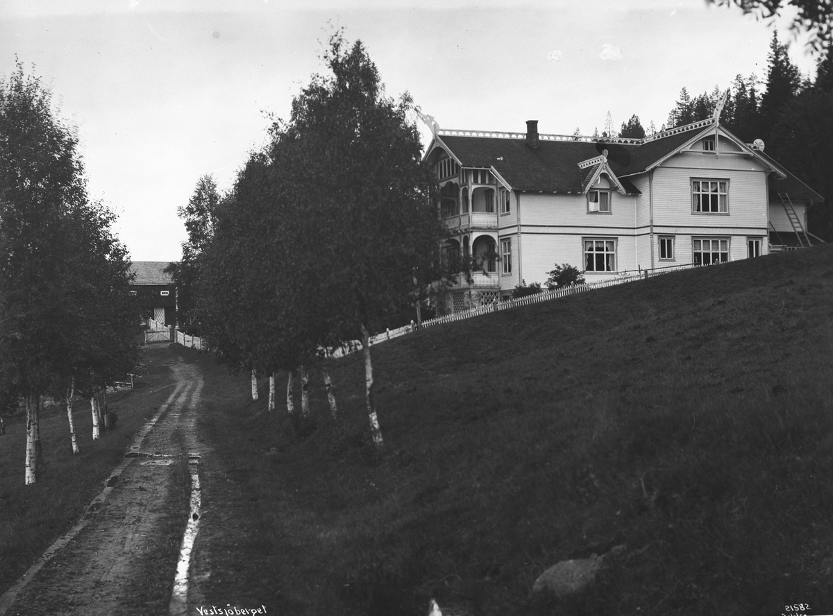 Anders Beer Wilse, Prot: Vestsjøberget - M.Nyhus's gård
