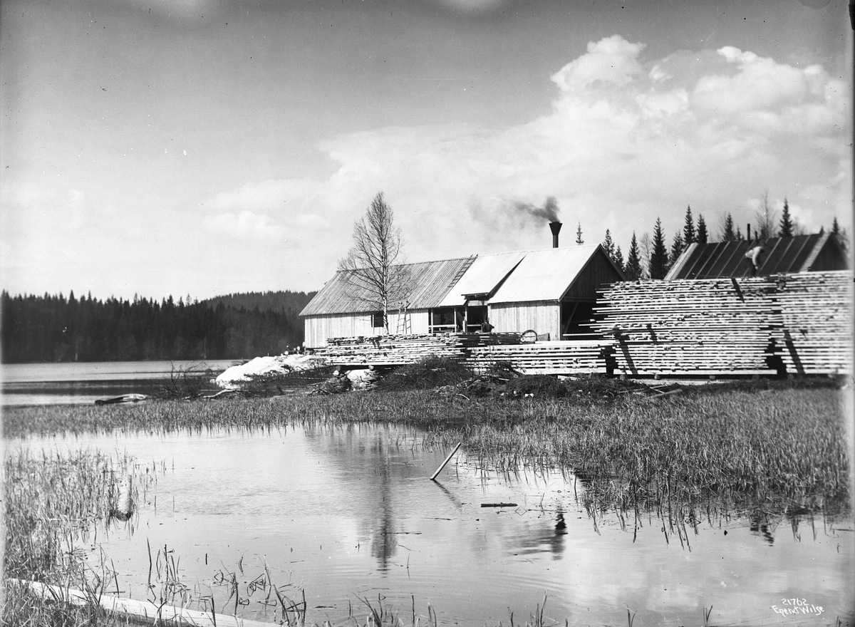 Anders Beer Wilse, Prot: Sagbruk Sannungsvand