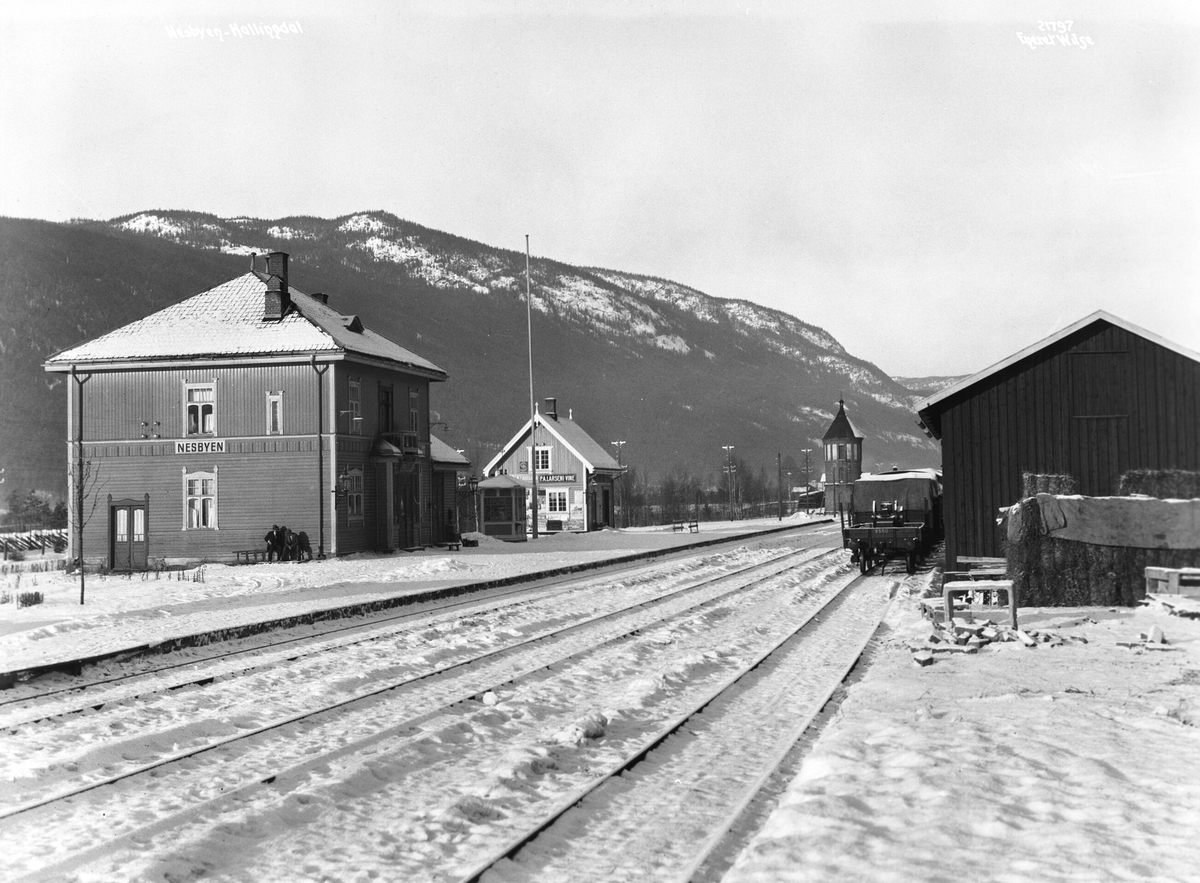 Anders Beer Wilse, Prot: Nesbyen Jernbanestation