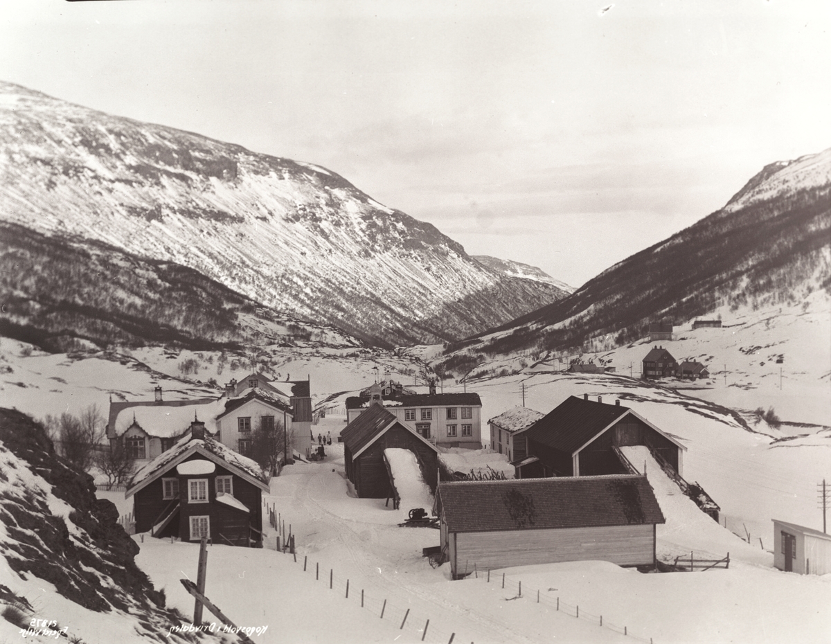 Anders Beer Wilse, Prot: Kongsvold