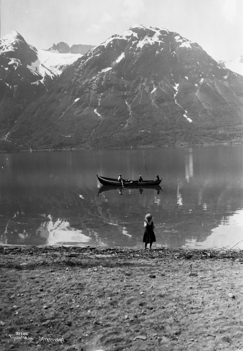 Anders Beer Wilse, Prot: Strynsvand