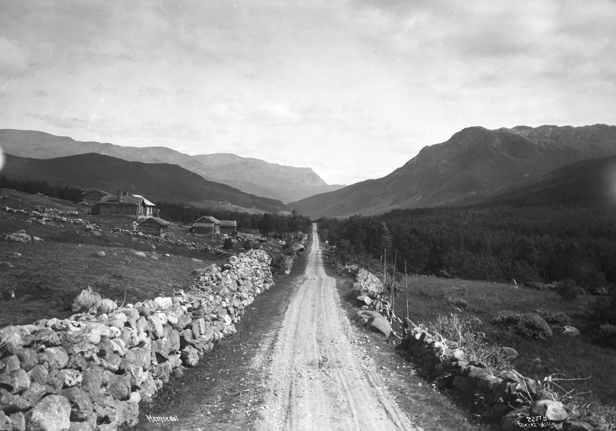 Anders Beer Wilse, Prot: Hemsedal