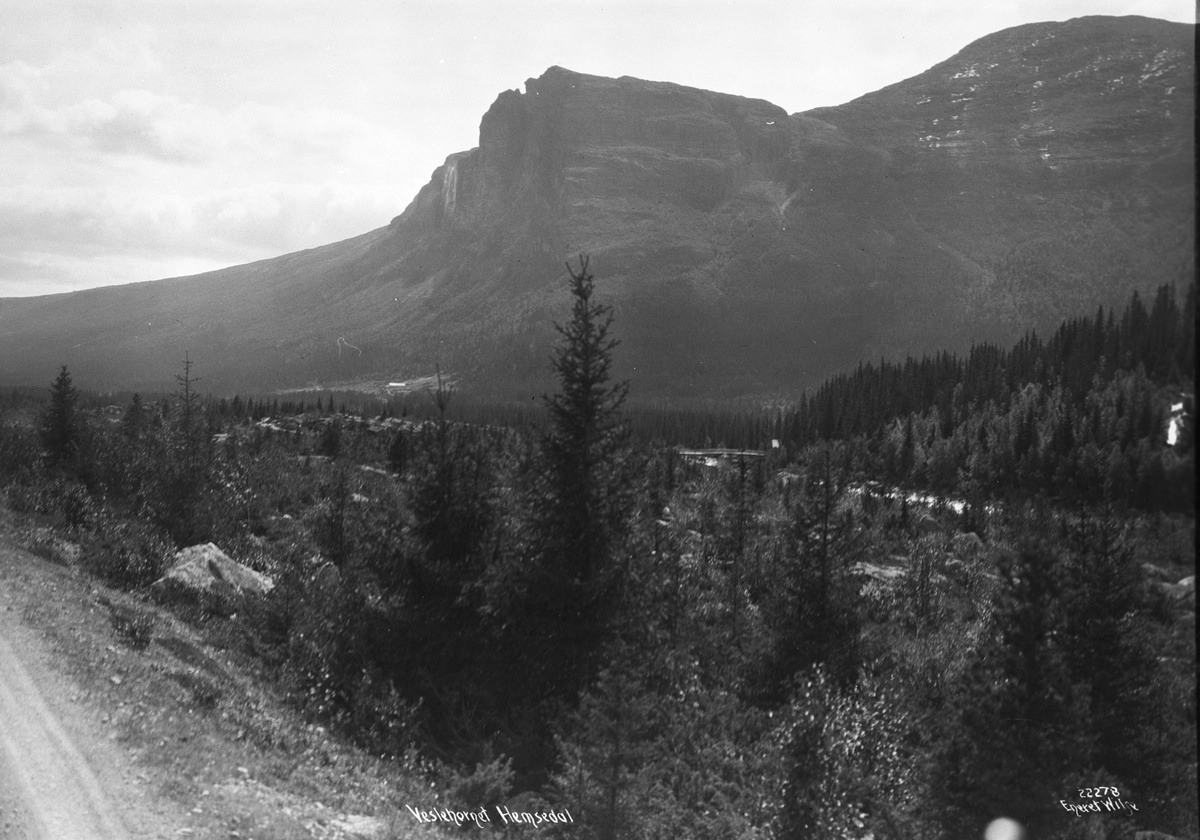 Anders Beer Wilse, Prot: Hemsedal - Veslehornet