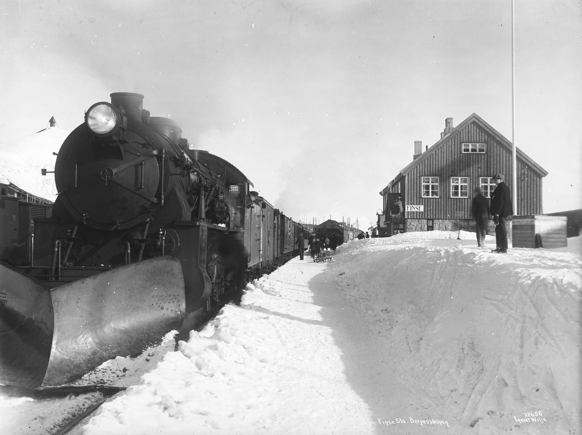 Anders Beer Wilse, Prot: Finse Station med toget