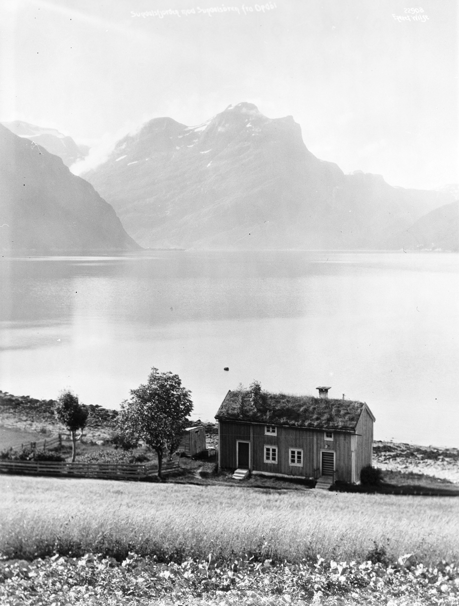 Anders Beer Wilse, Prot: Sundalsfjorden fra Opdøl
