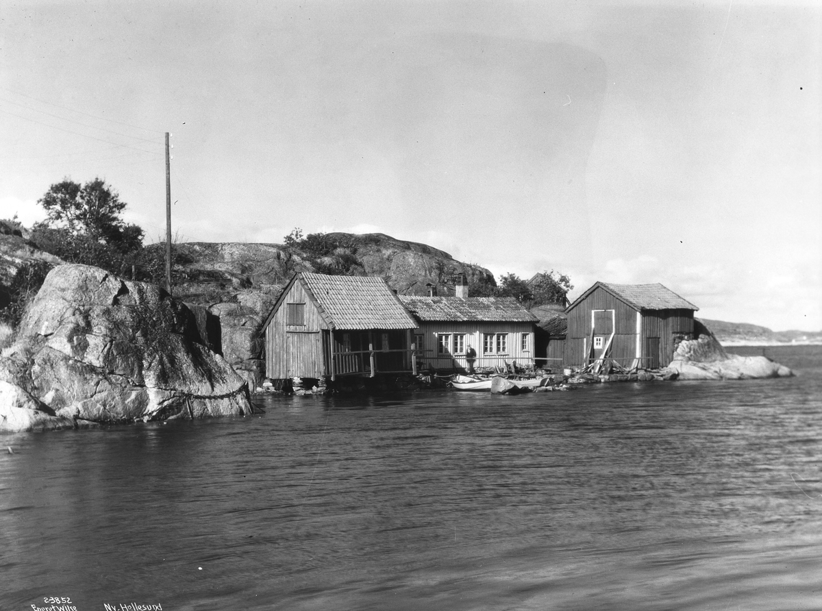 Anders Beer Wilse, Prot: Ny Hellesund
