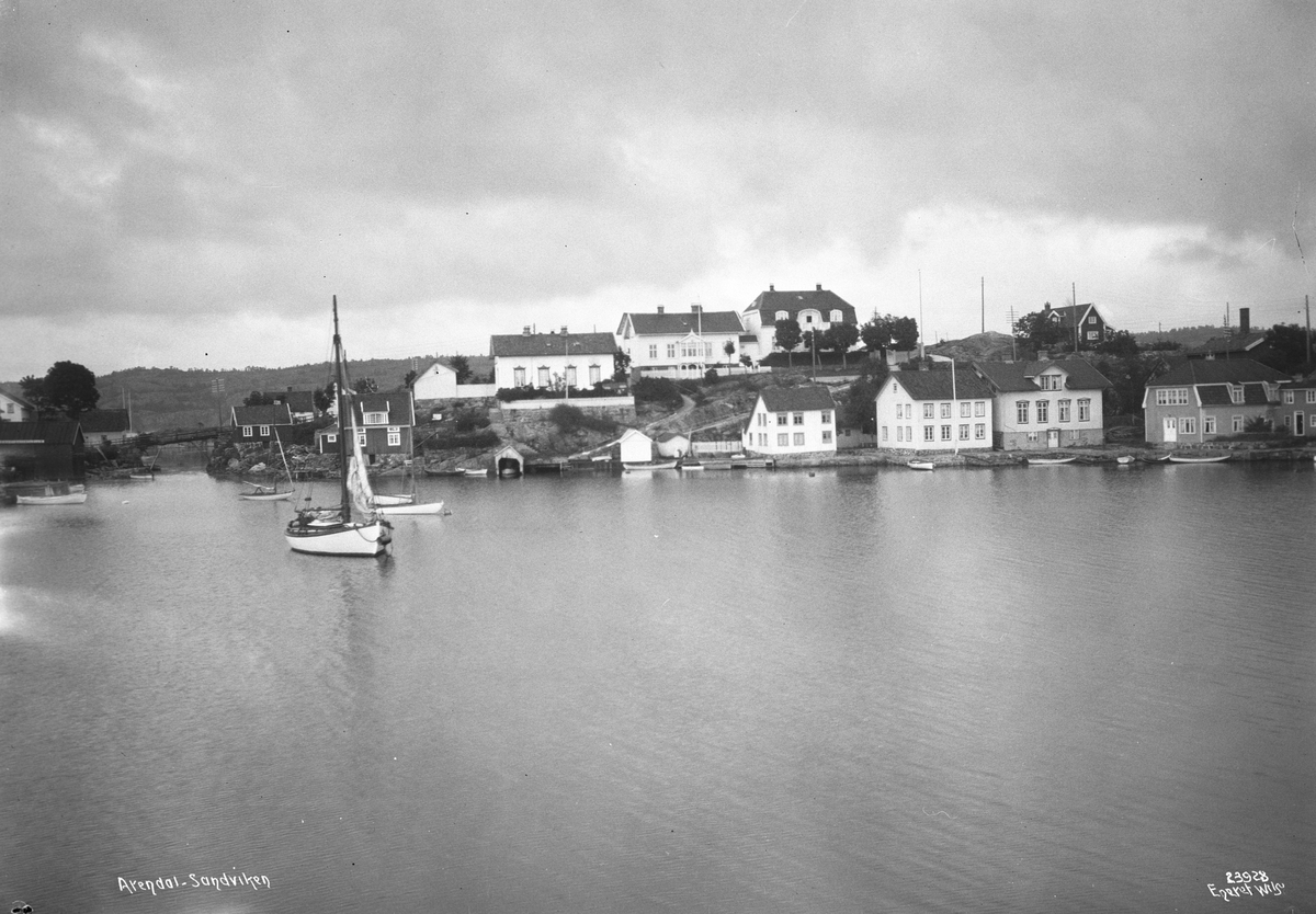 Anders Beer Wilse, Prot: Arendal vestre Sandvigen