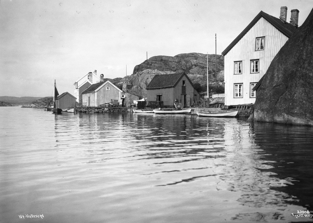 Anders Beer Wilse, Prot: Ny Hellesund
