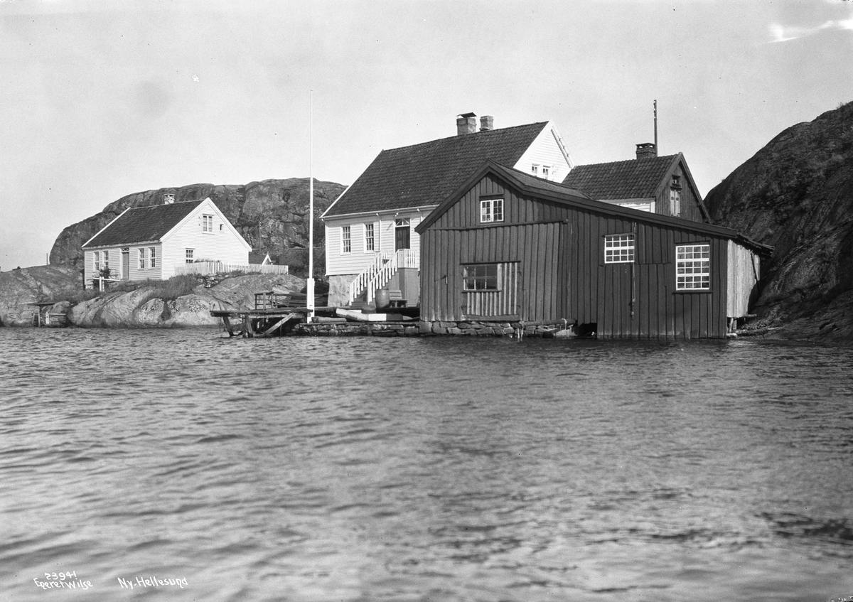 Anders Beer Wilse, Prot: Ny Hellesund