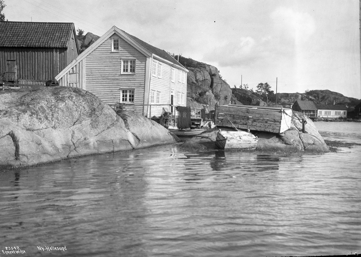Anders Beer Wilse, Prot: Ny Hellesund
