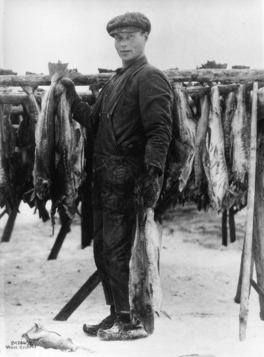 Anders Beer Wilse, Konv: Stokfisk