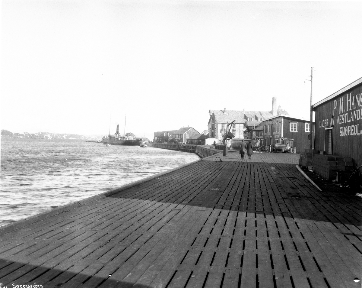 Anders Beer Wilse, Prot: Sannessjøen
