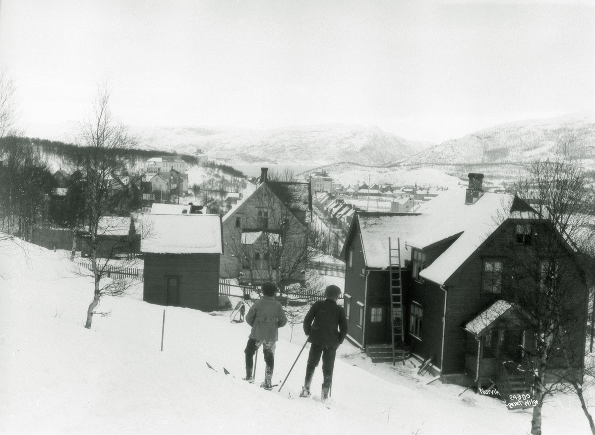 Anders Beer Wilse, Prot: Narvik