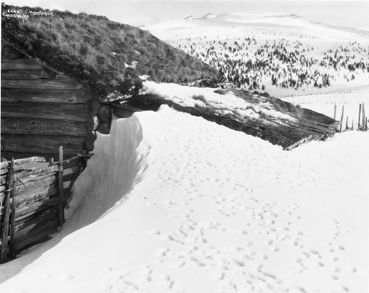 Anders Beer Wilse, Prot: Rondane - Haretraak