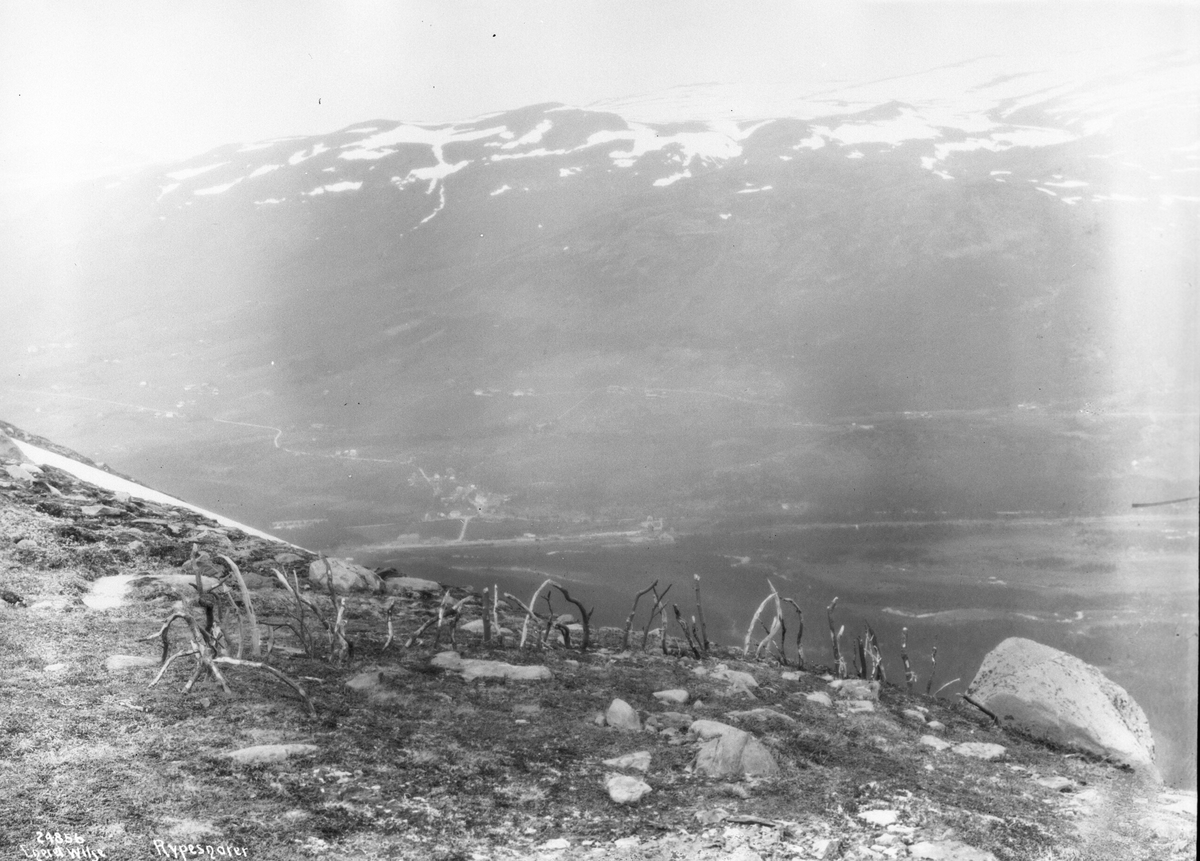 Anders Beer Wilse, Prot: Opdal - Rypesnarer