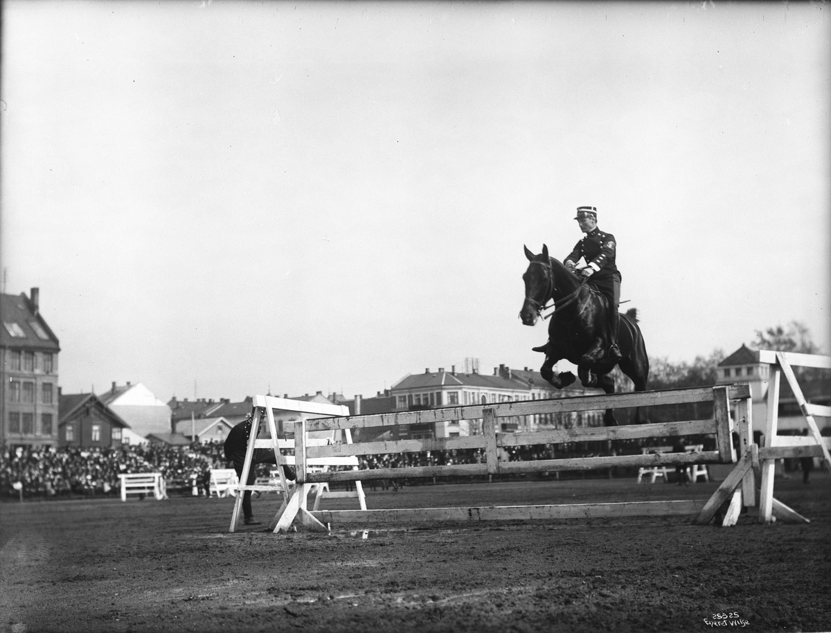 Anders Beer Wilse, Prot: Ridning Neg: ""Dak"", premierløytnant P. Michelet.