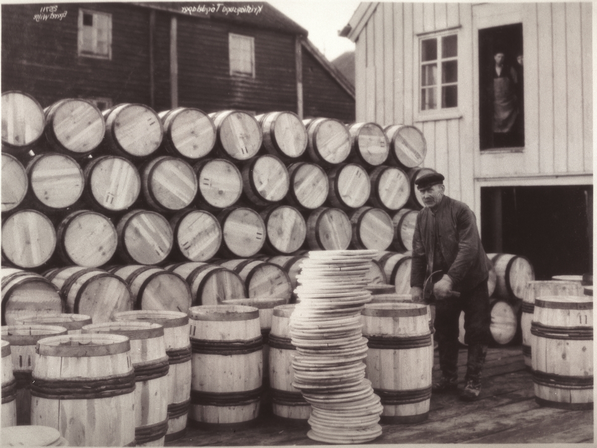 Anders Beer Wilse, Prot: Kristiansund - Tøndelager
