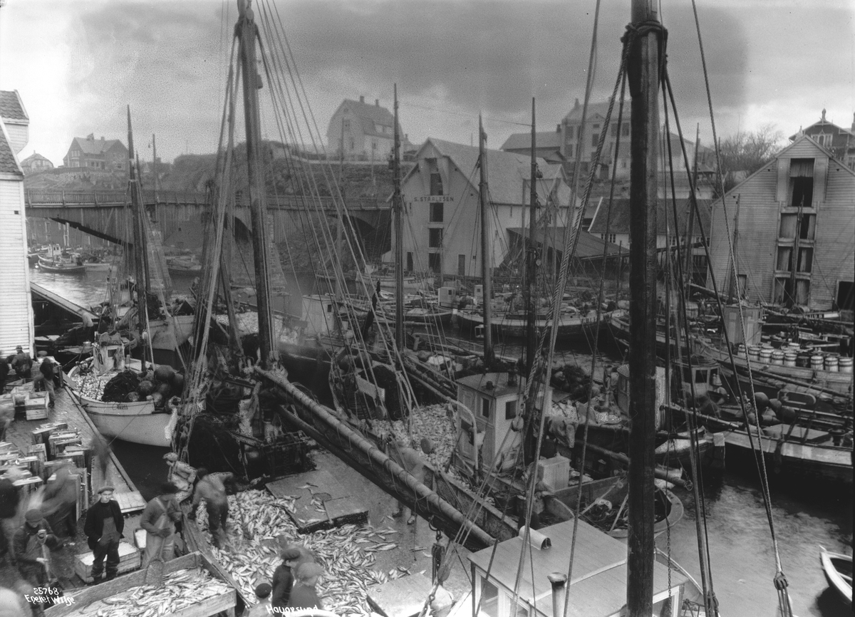 Anders Beer Wilse, "Prot: Haugesund - fra havnen