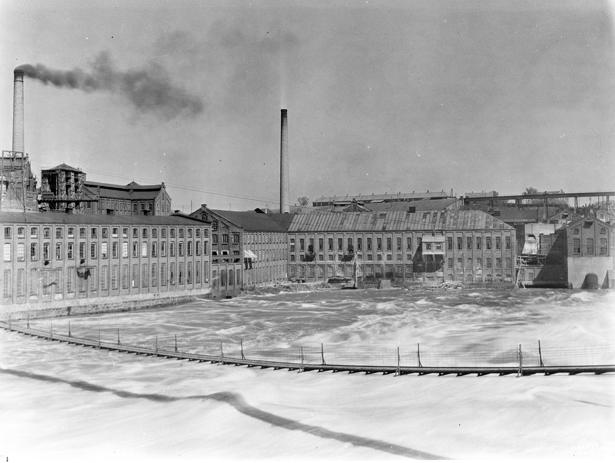 Anders Beer Wilse, Prot: Borregaard Panorama