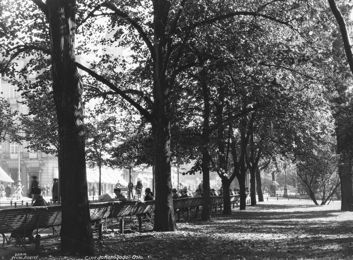 Anders Beer Wilse, Prot: Oslo - Carl Johan under træerne