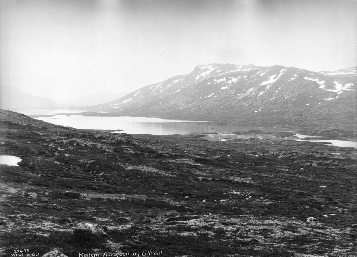 Anders Beer Wilse, Prot: Romsdalen - Mellem Aursjøen og Lilledal