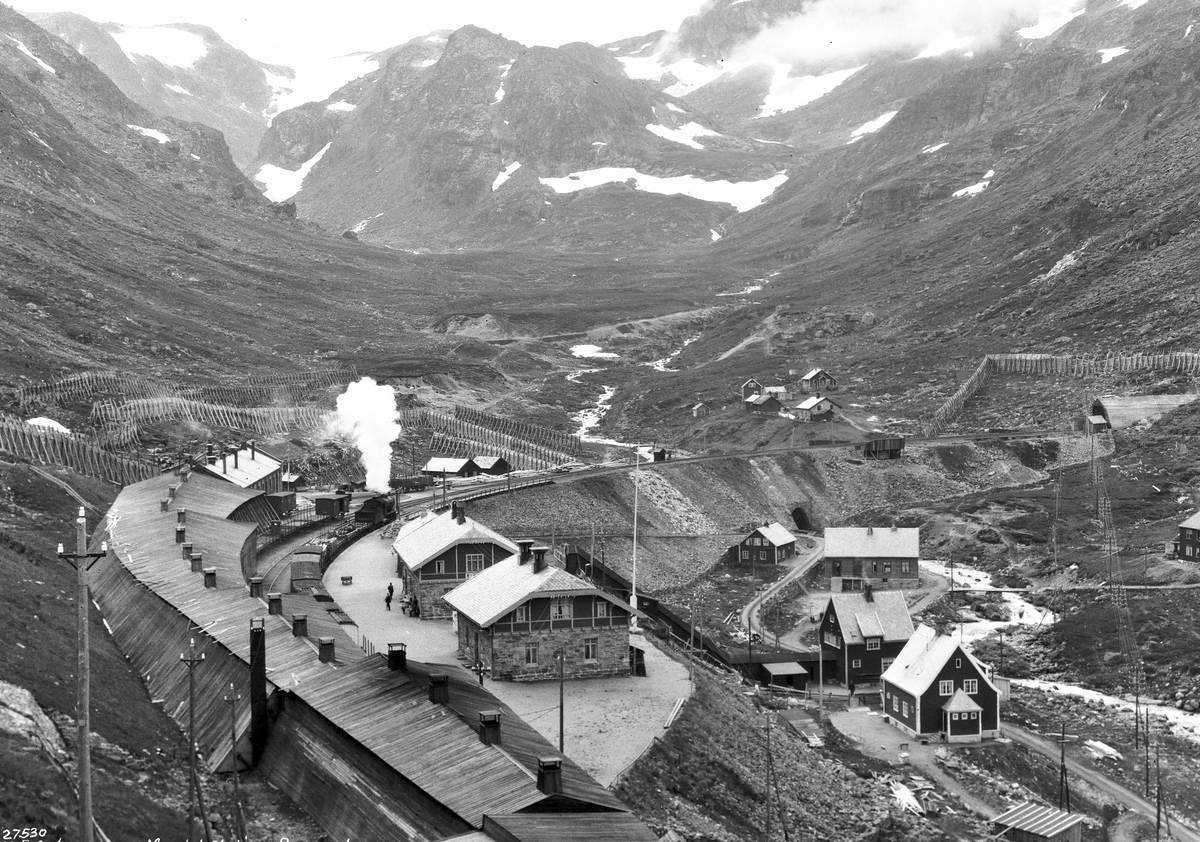 Anders Beer Wilse, Prot: Bergensbanen - Myrdal Station