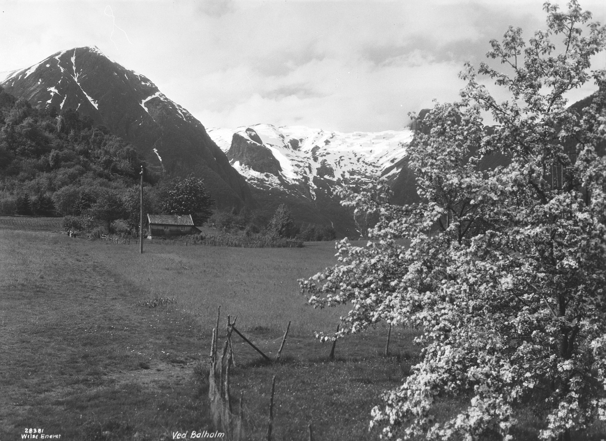 Anders Beer Wilse, Prot: Vestlandsfjordene - Esefjorden
