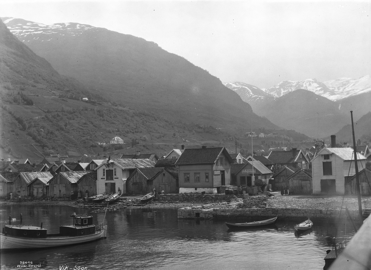 Anders Beer Wilse, Prot: Vestlandsfjordene - Vik fra fjorden