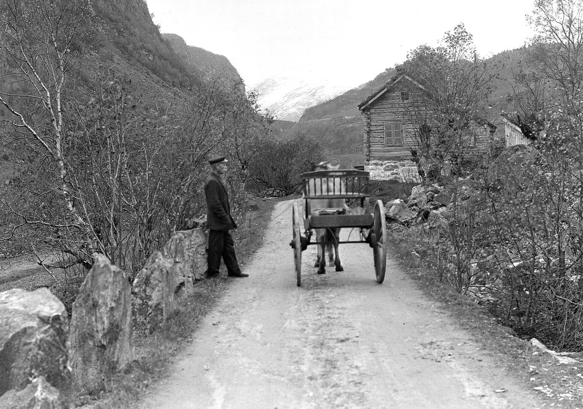 Anders Beer Wilse, Prot: Ytterdal